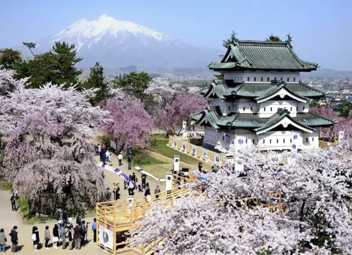 弘前公園　デート