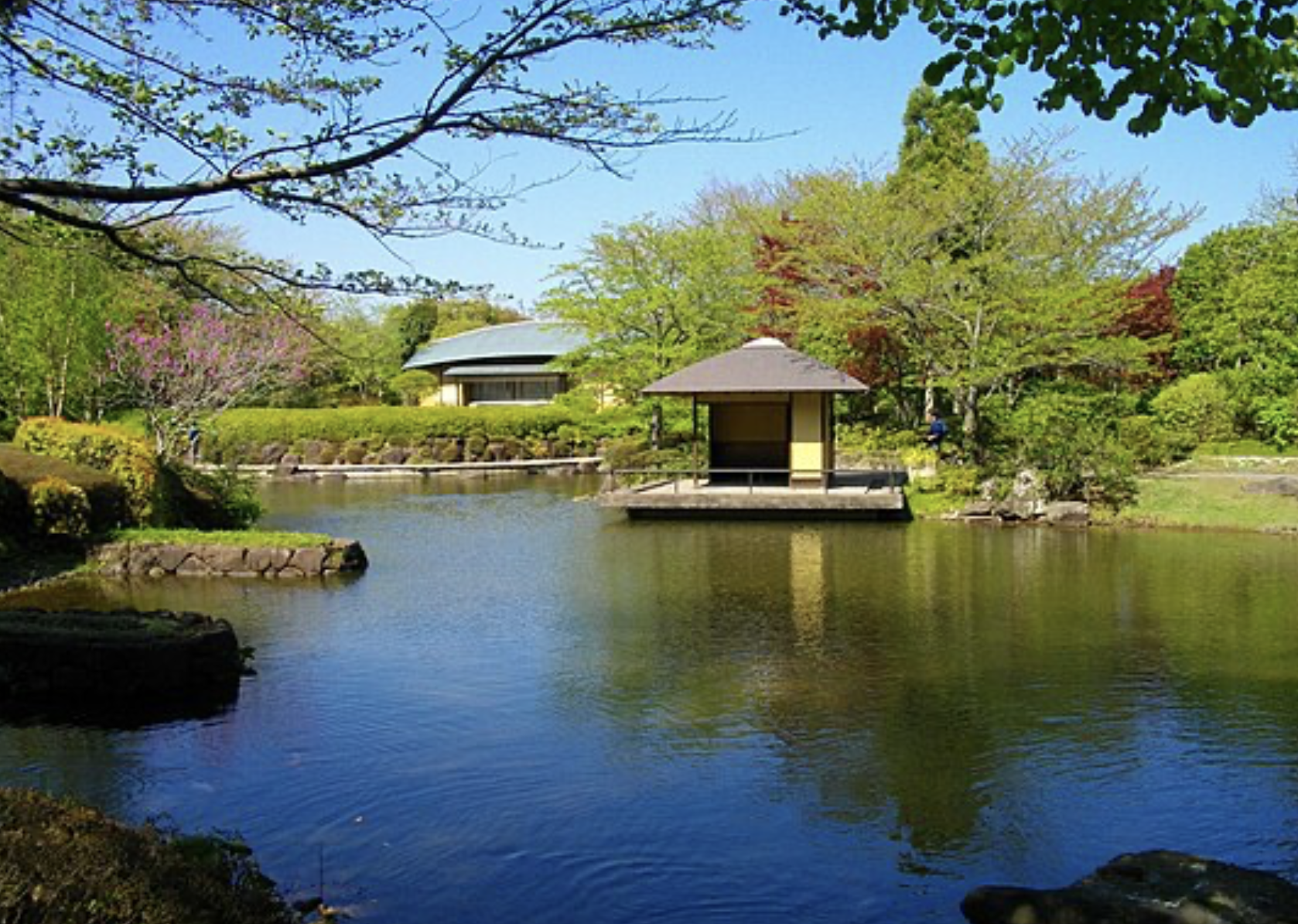 柏の葉公園　デート