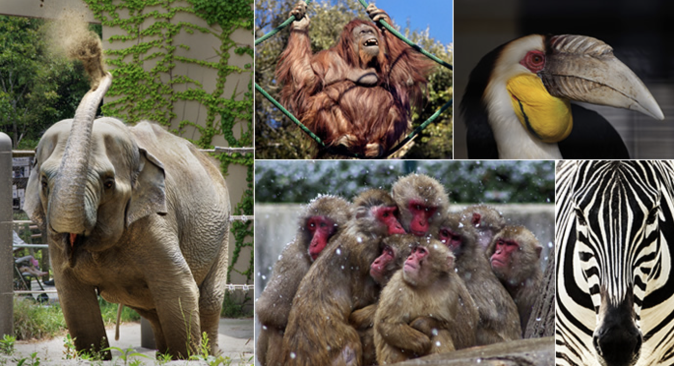 福岡市動植物園　観光