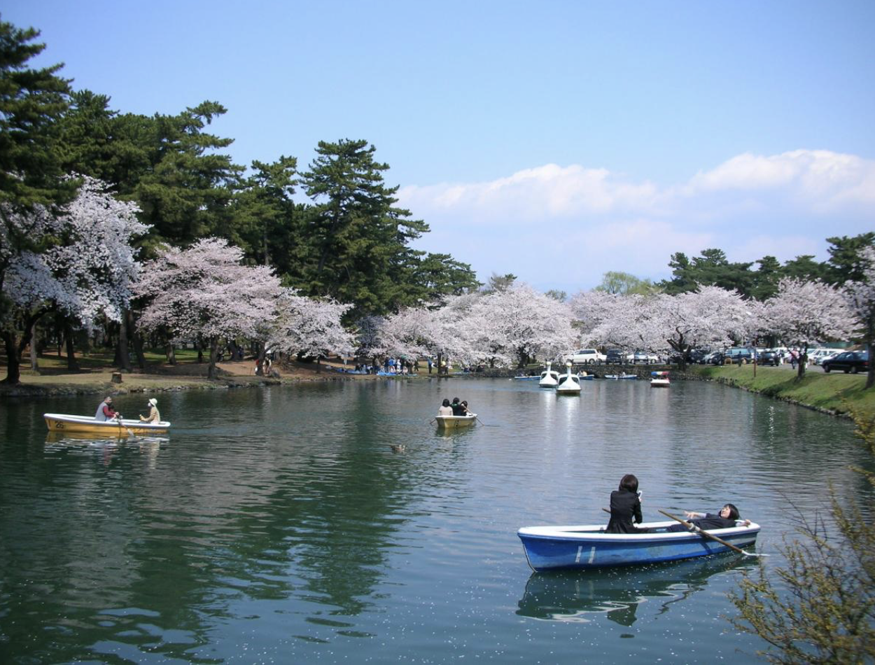 敷島公園　デート