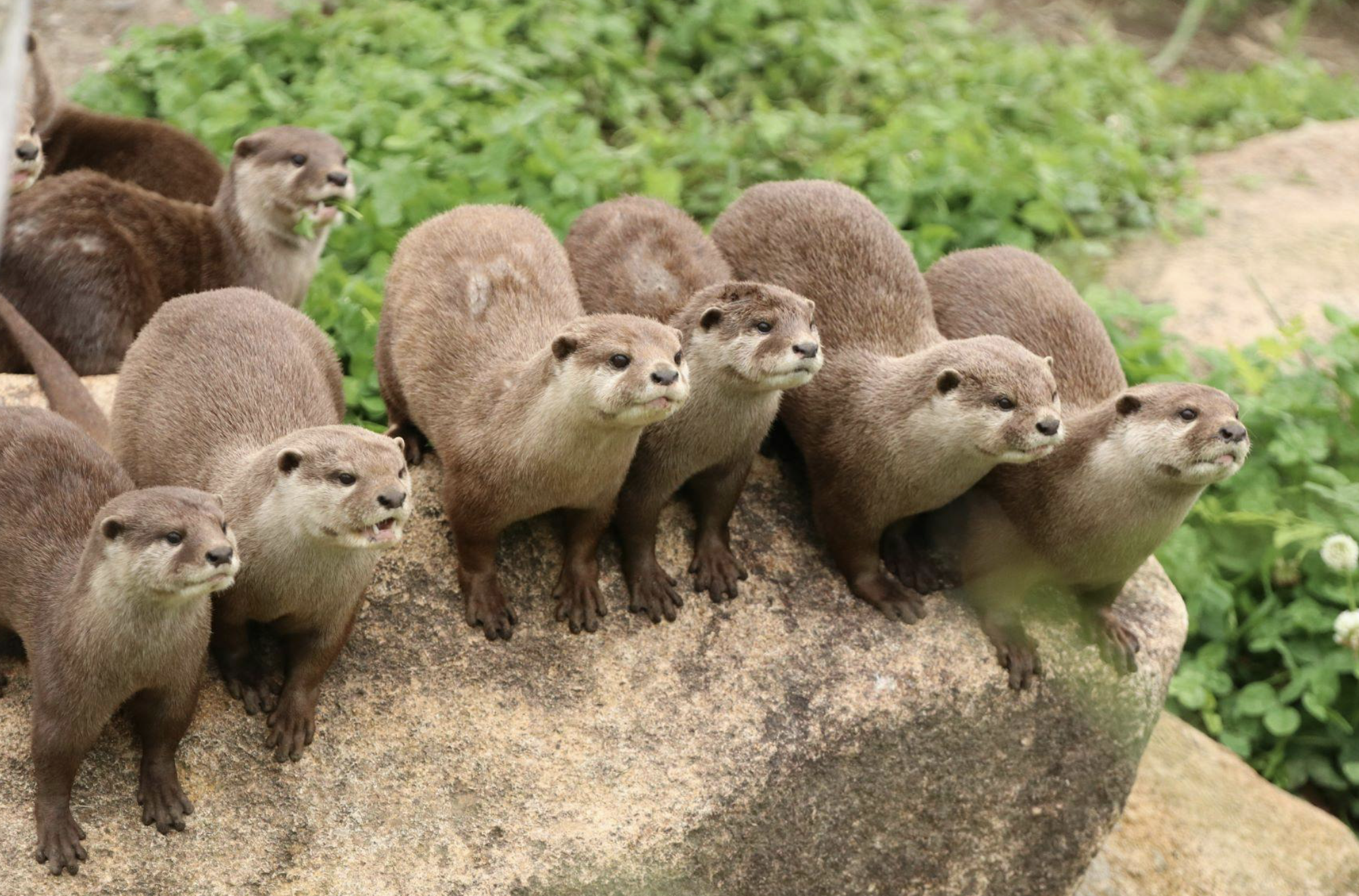 神戸どうぶつ王国　観光