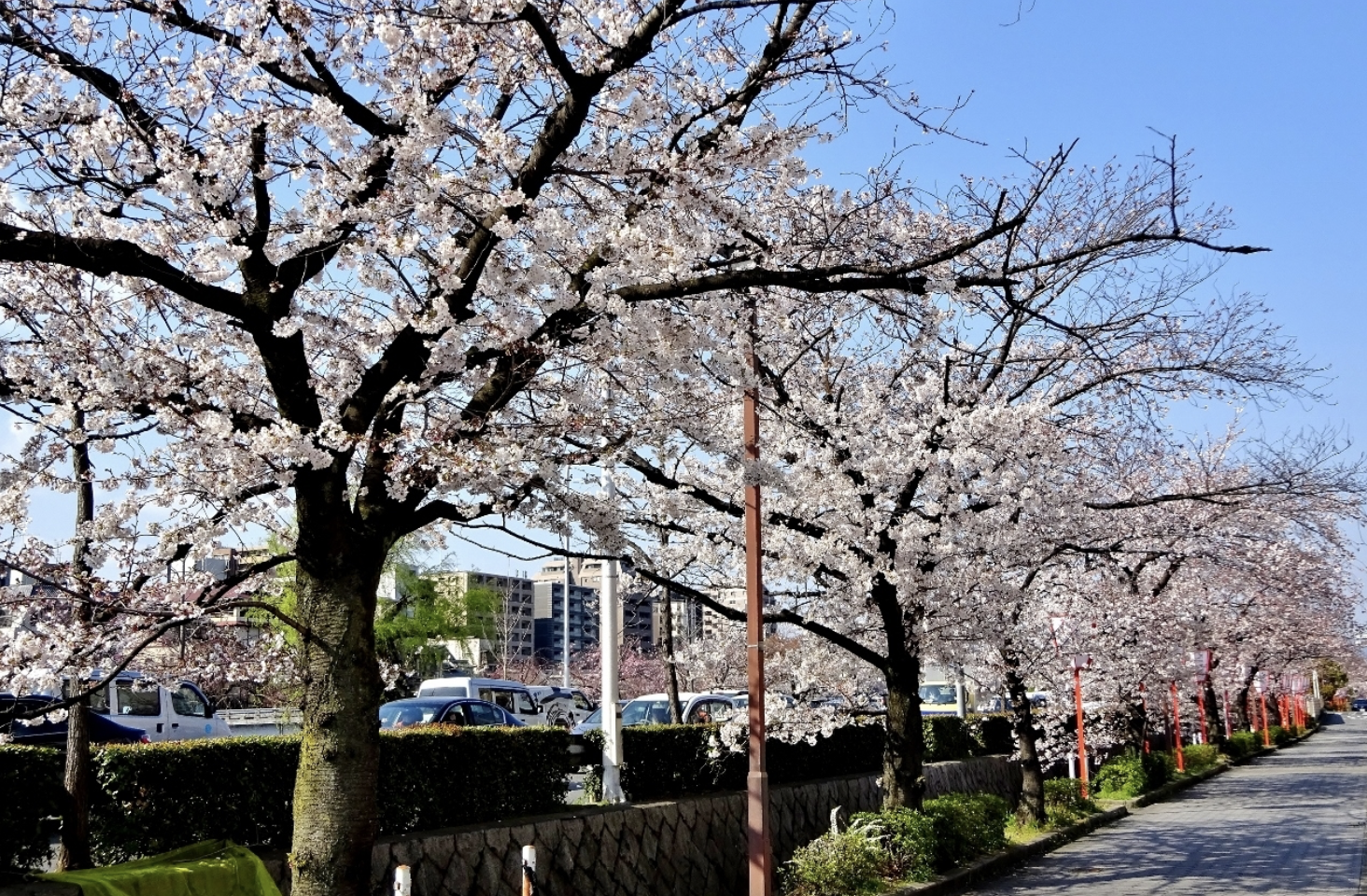 川端通り　デート