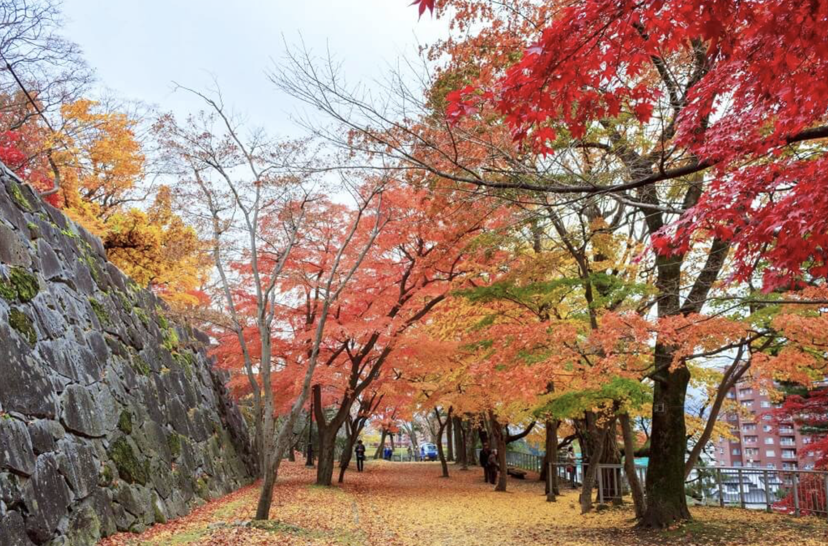 盛岡城跡公園　デート