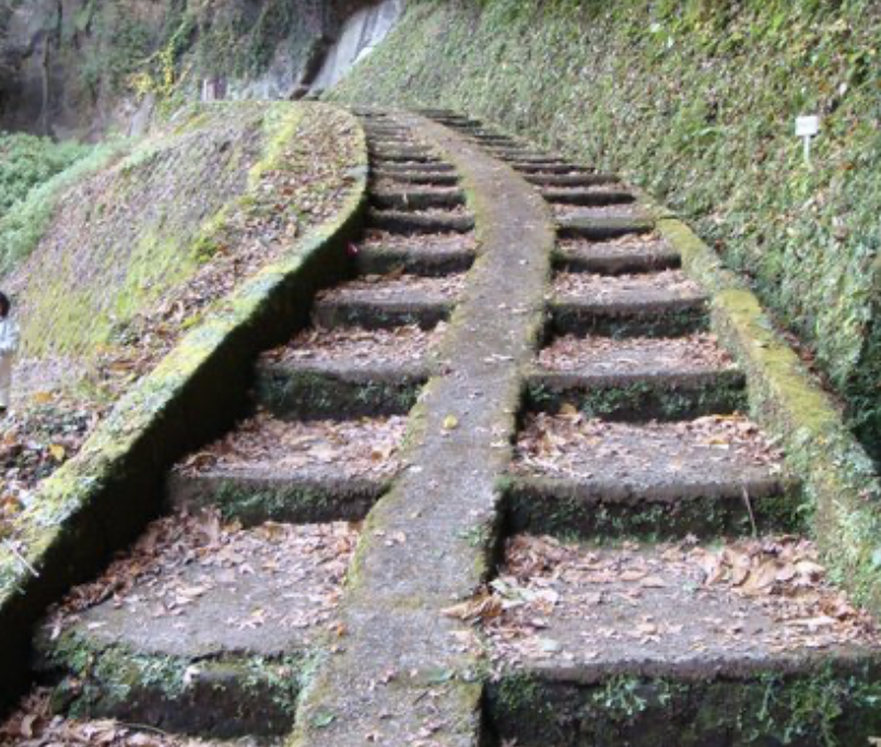 龍馬の散歩道　観光