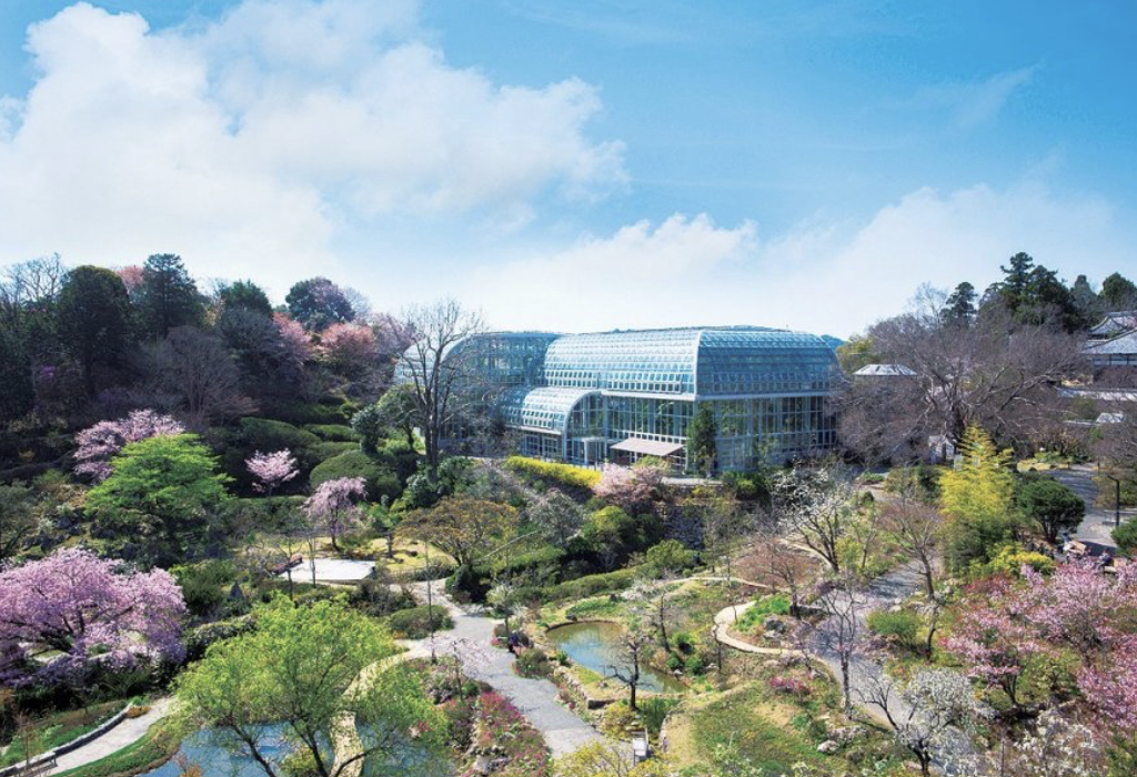 高知県立牧野植物園　観光