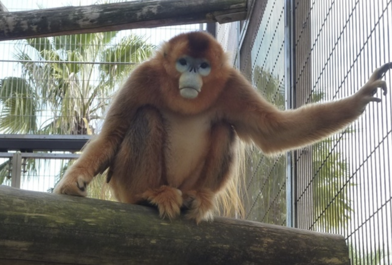 熊本市動植物園　観光