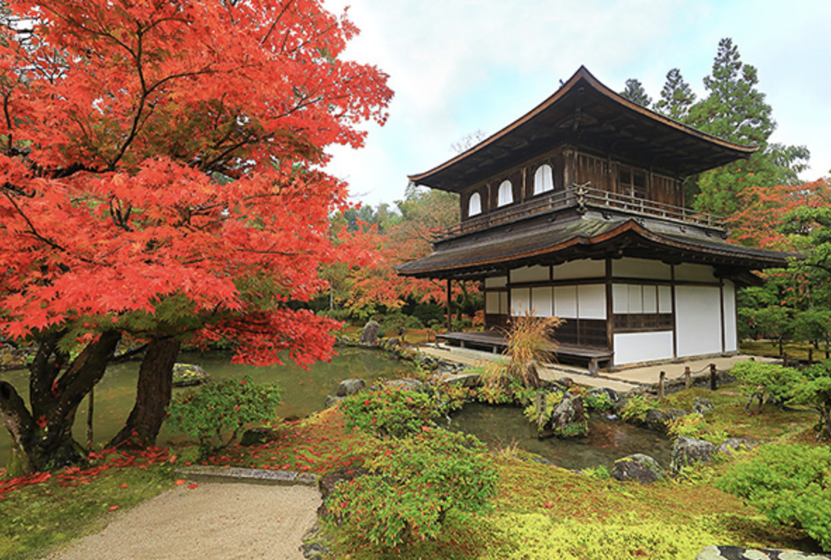 銀閣寺　観光