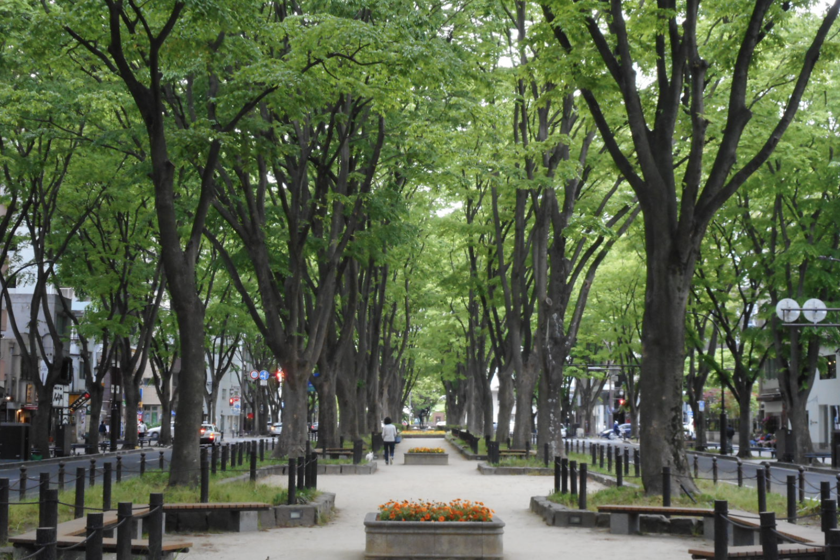 定禅寺通り　デート