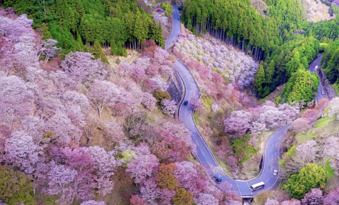 吉野山　観光