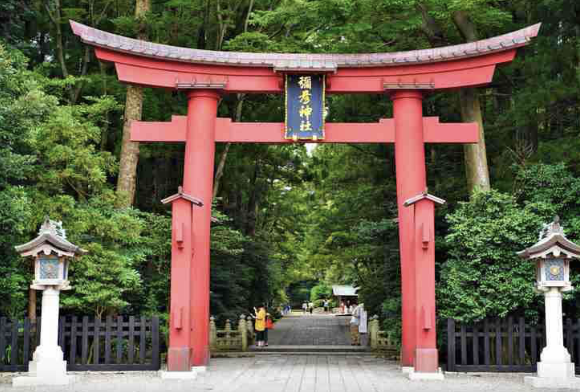 弥彦神社　観光