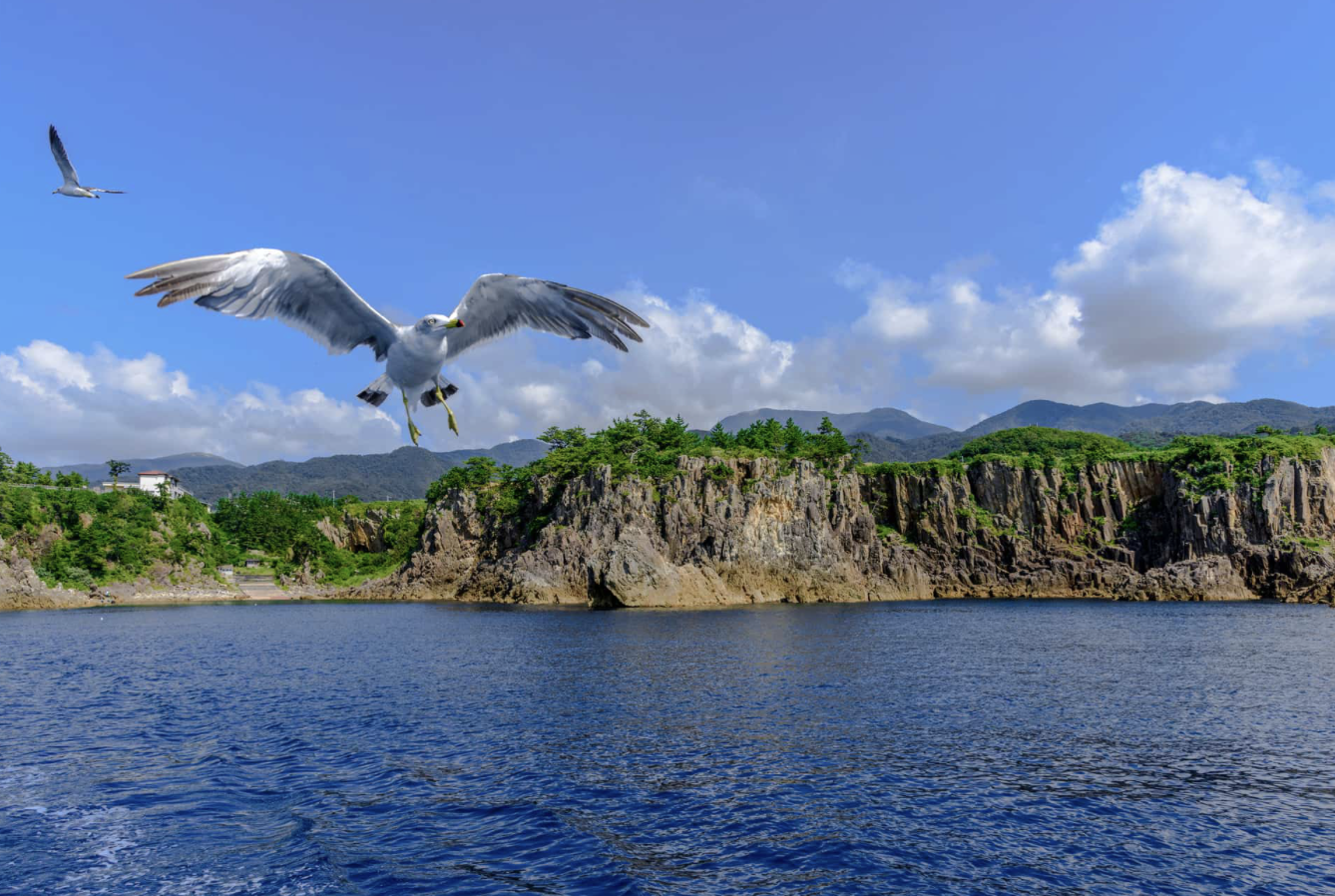 佐渡島　観光