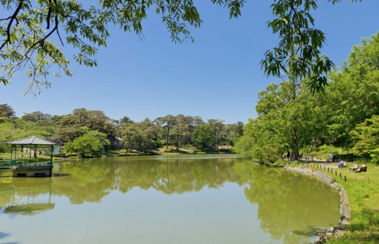 大宮公園　観光