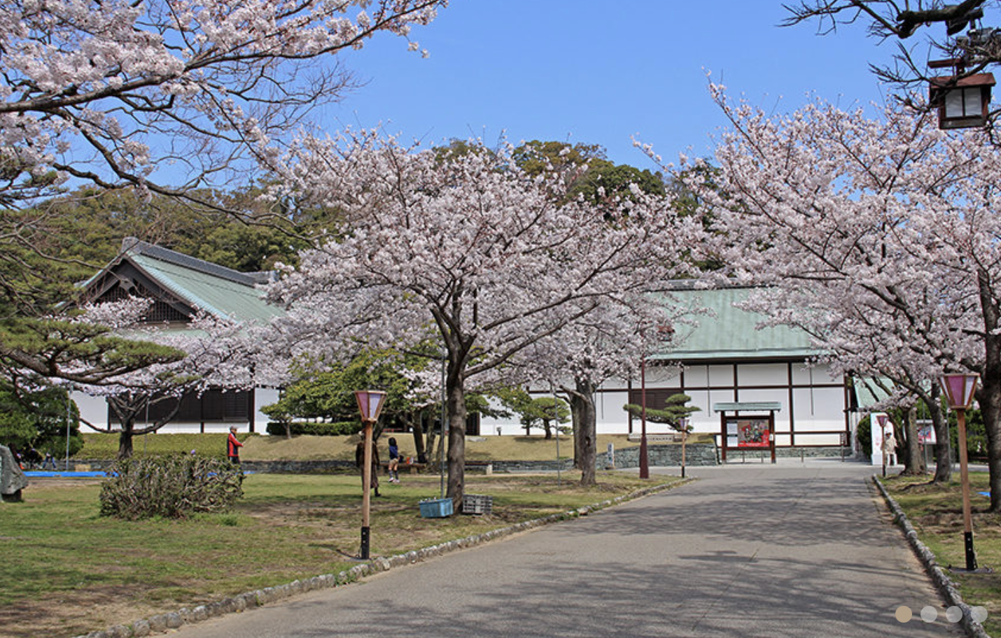 徳島中央公園　観光