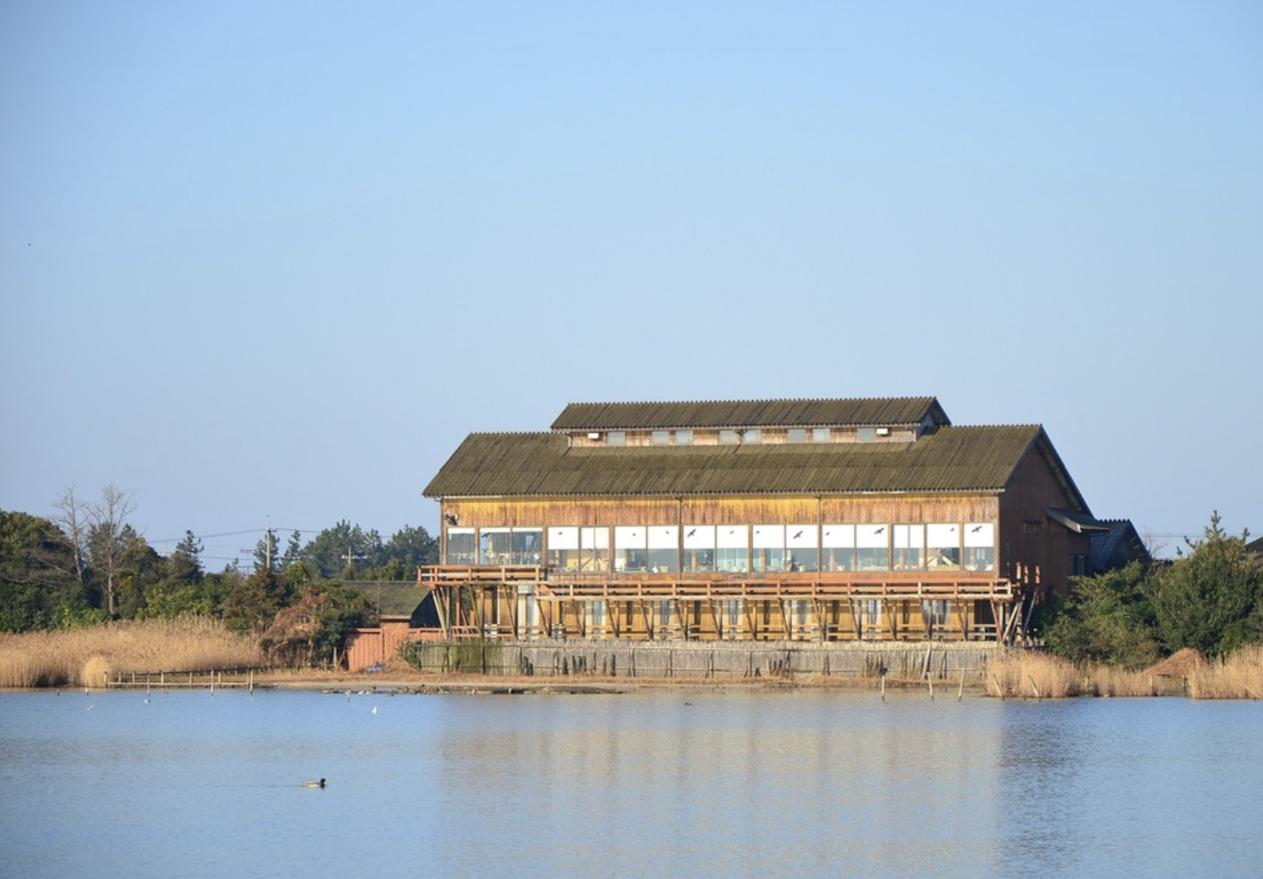 米子水鳥公園　観光