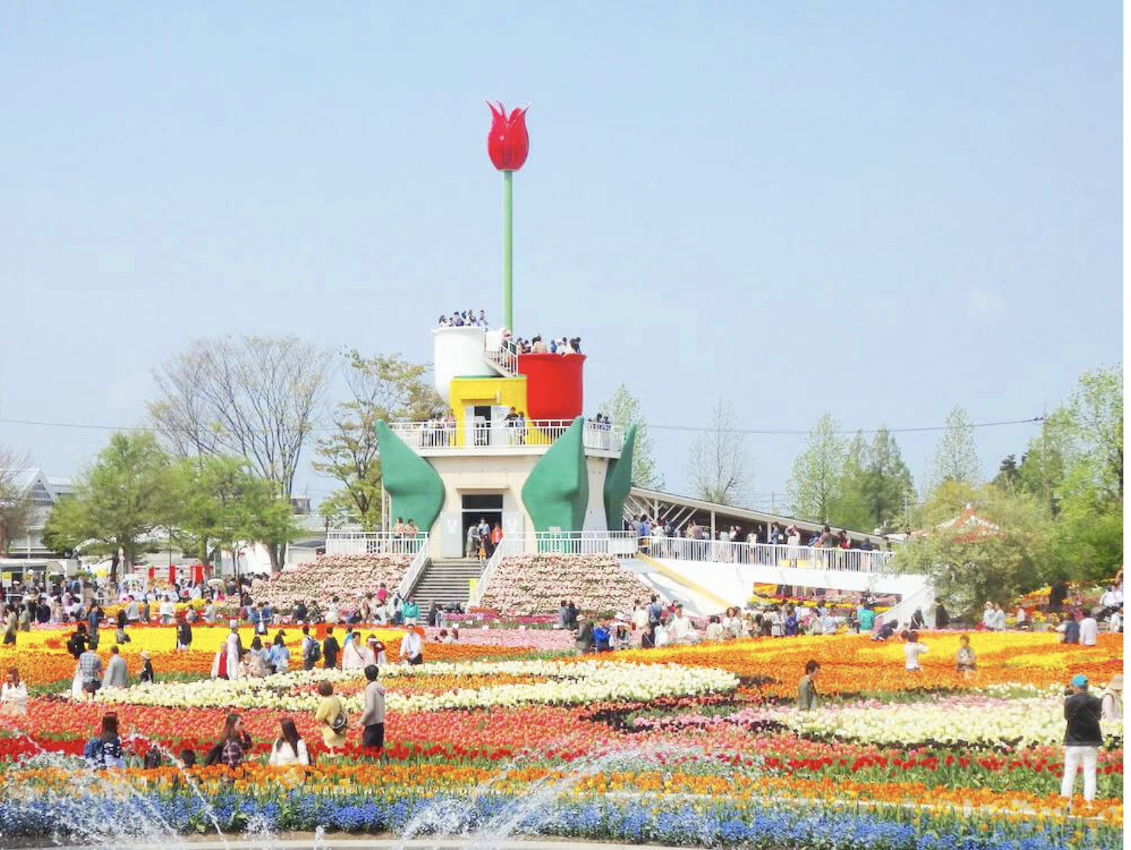 砺波チューリップ公園　デート