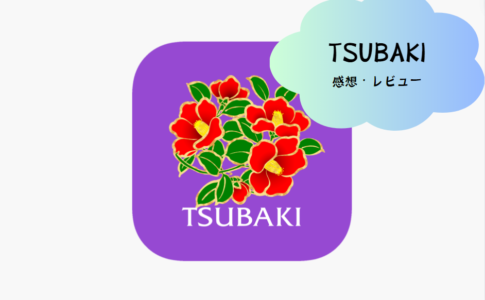 「Tsubaki」で新しいコミュニケーション体験を！ビデオ通話アプリの魅力を徹底解説